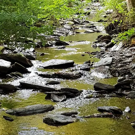 Apartment Heideberg *