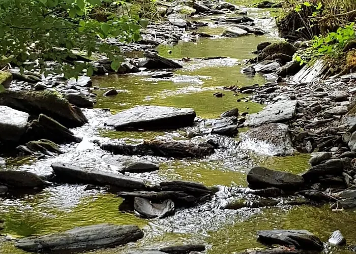 דירה Heideberg *